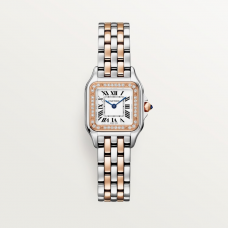 Cartier Panthère De Cartier Small steel & rose gold (2026) W3PN0014